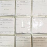 企業(yè)網(wǎng)站設(shè)計：個性化與整體性的完美融合